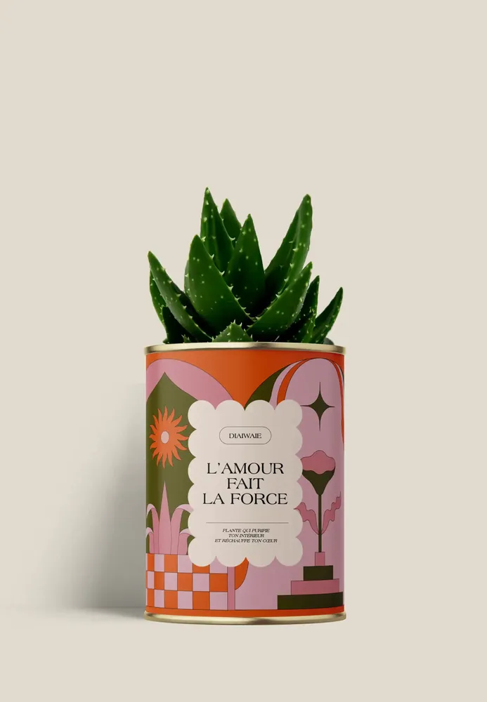 Cadeaux - L'AMOUR FAIT LA FORCE - Mini Aloé - DIAIWAIE