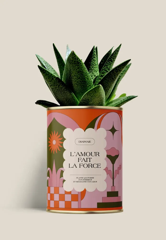 Gifts - L'AMOUR FAIT LA FORCE - Maxi Aloé - DIAIWAIE