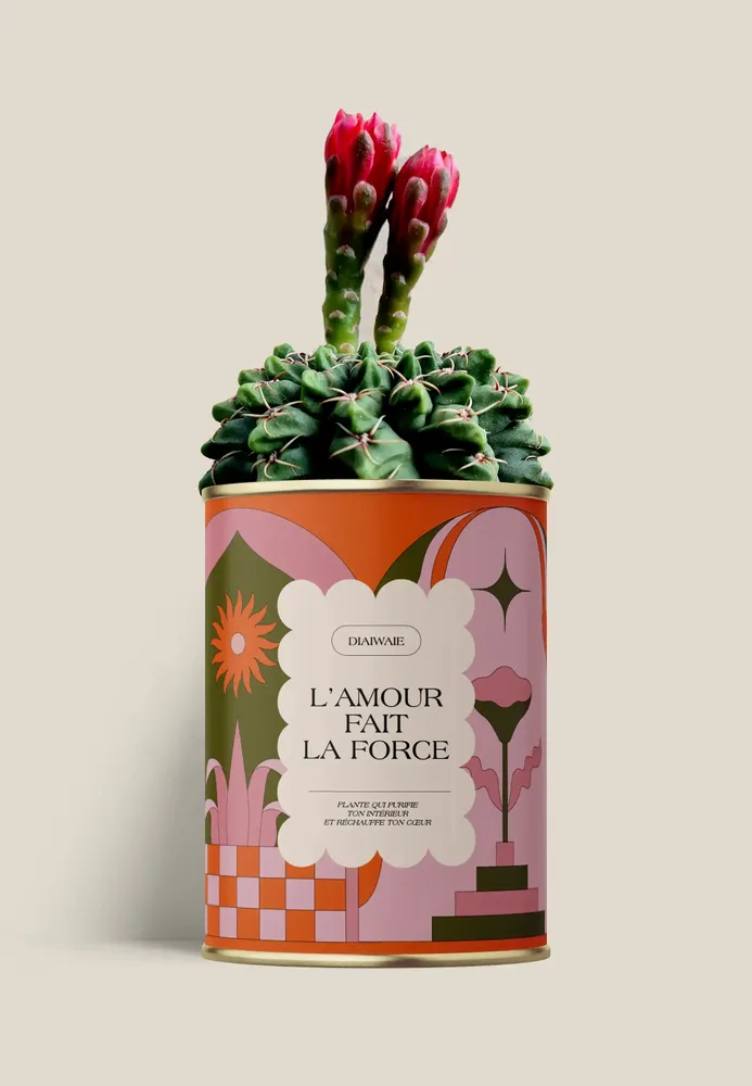 Gifts - L'AMOUR FAIT LA FORCE - Maxi Cactus - DIAIWAIE