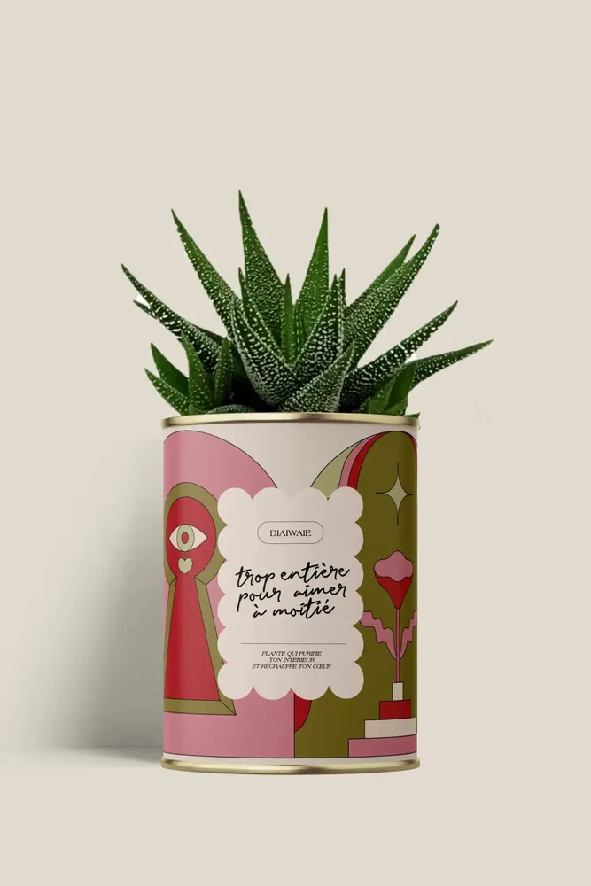 Cadeaux - Trop entière pour aimer à moitié - Mini Aloé - DIAIWAIE