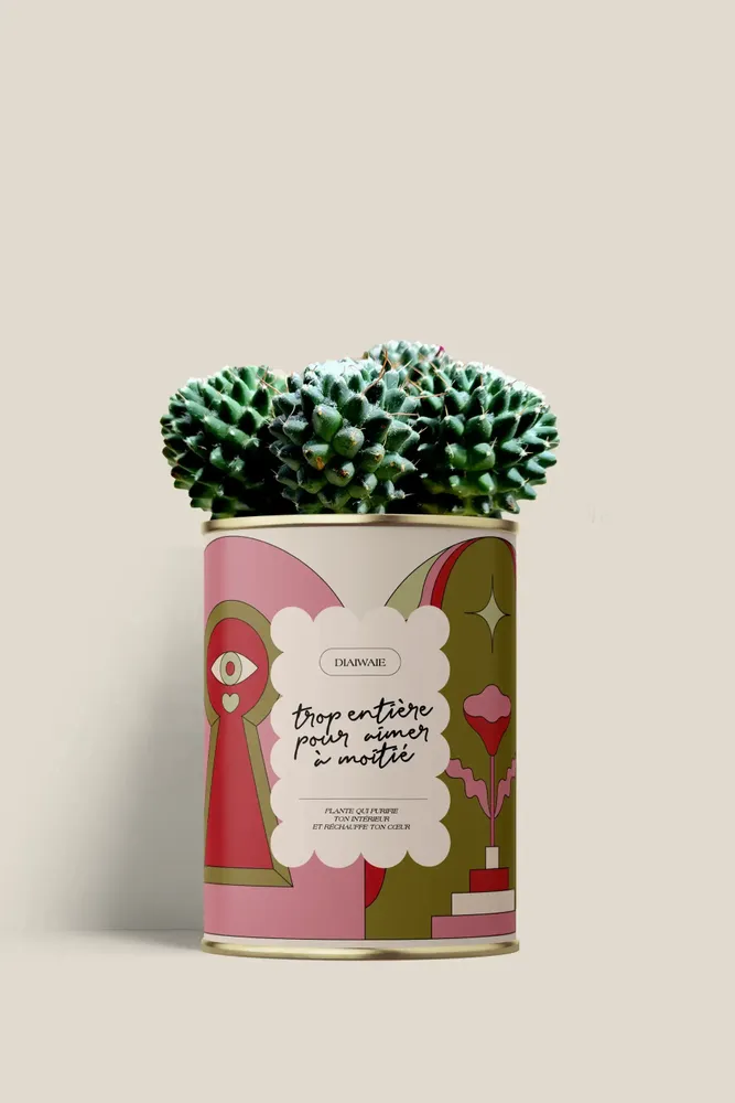 Gifts - Trop entière pour aimer à moitié - Mini Cactus - DIAIWAIE