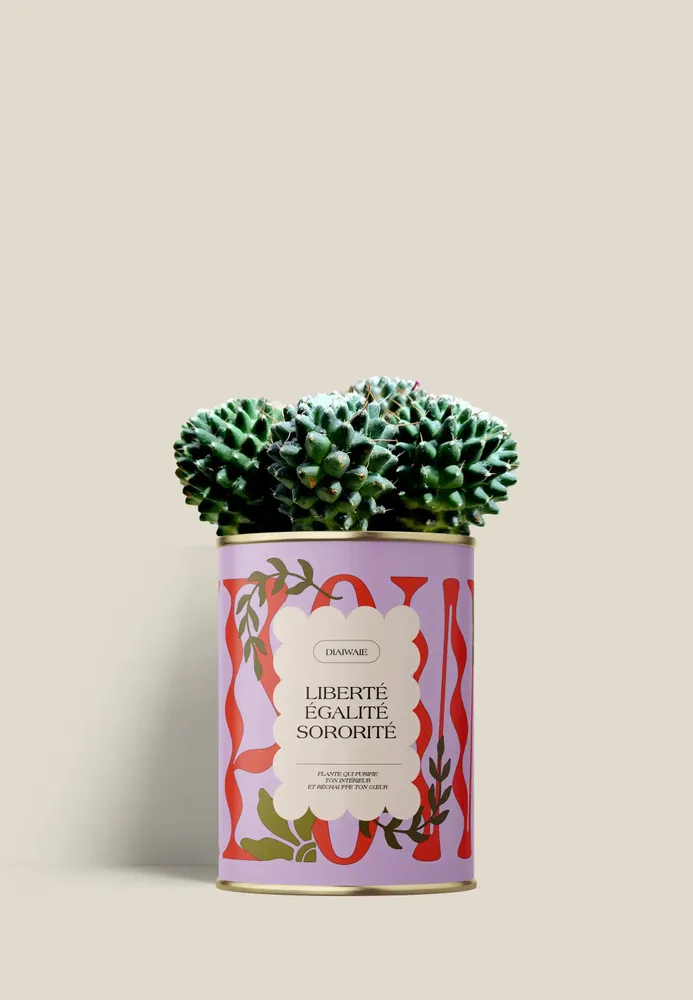 Cadeaux - Liberté égalité sororite - Mini Cactus - DIAIWAIE