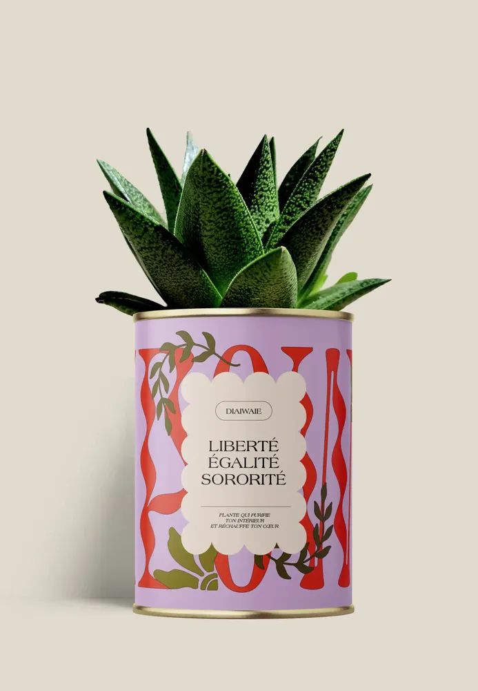 Cadeaux - Liberté égalité sororite - Maxi Aloé - DIAIWAIE