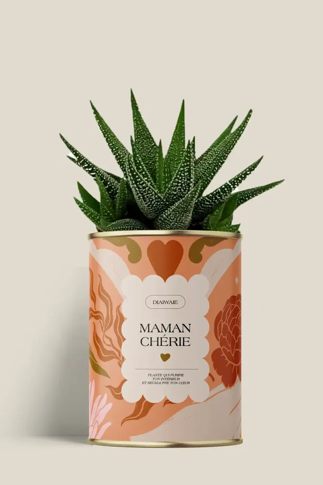 Cadeaux - Maman Chérie - Mini Aloé - DIAIWAIE