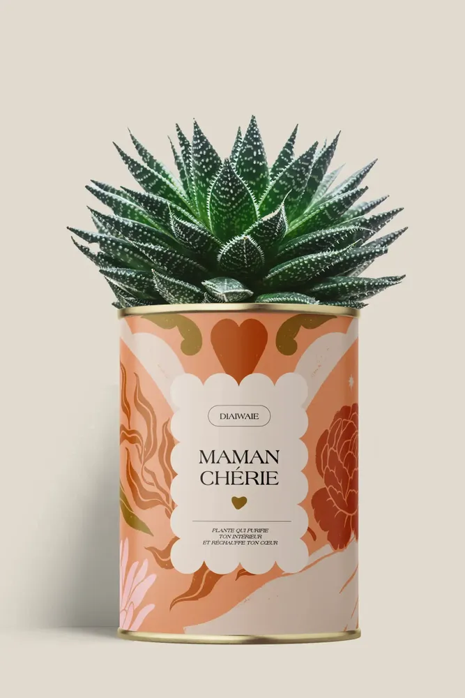 Cadeaux - Maman Chérie - Maxi Aloé - DIAIWAIE