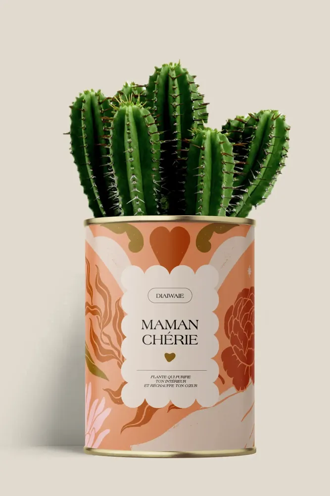 Cadeaux - Maman Chérie - Maxi Cactus - DIAIWAIE
