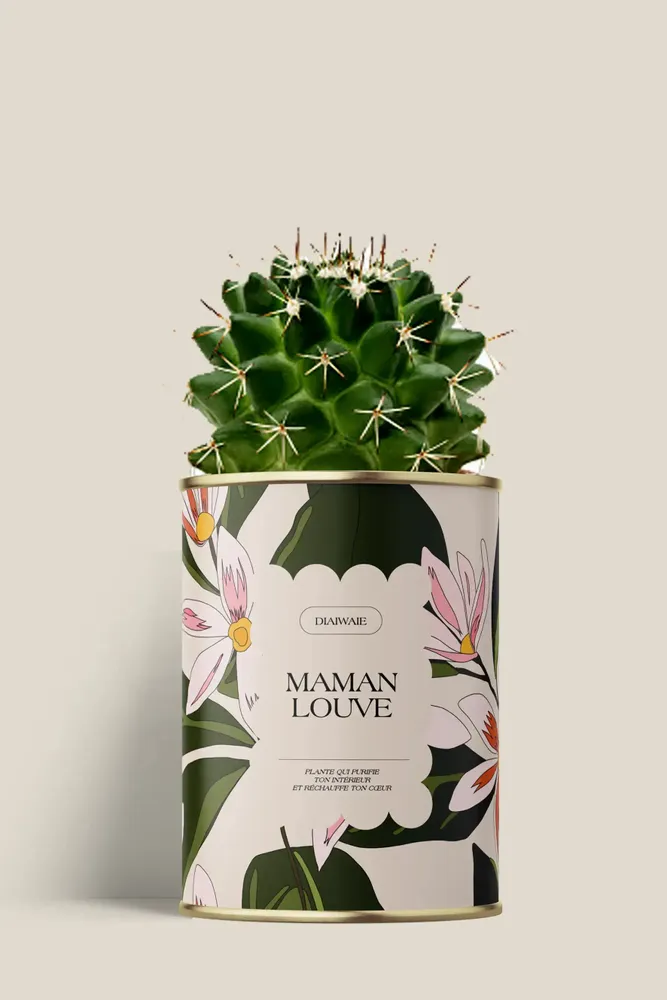 Gifts - Maman Louve - Mini Cactus - DIAIWAIE