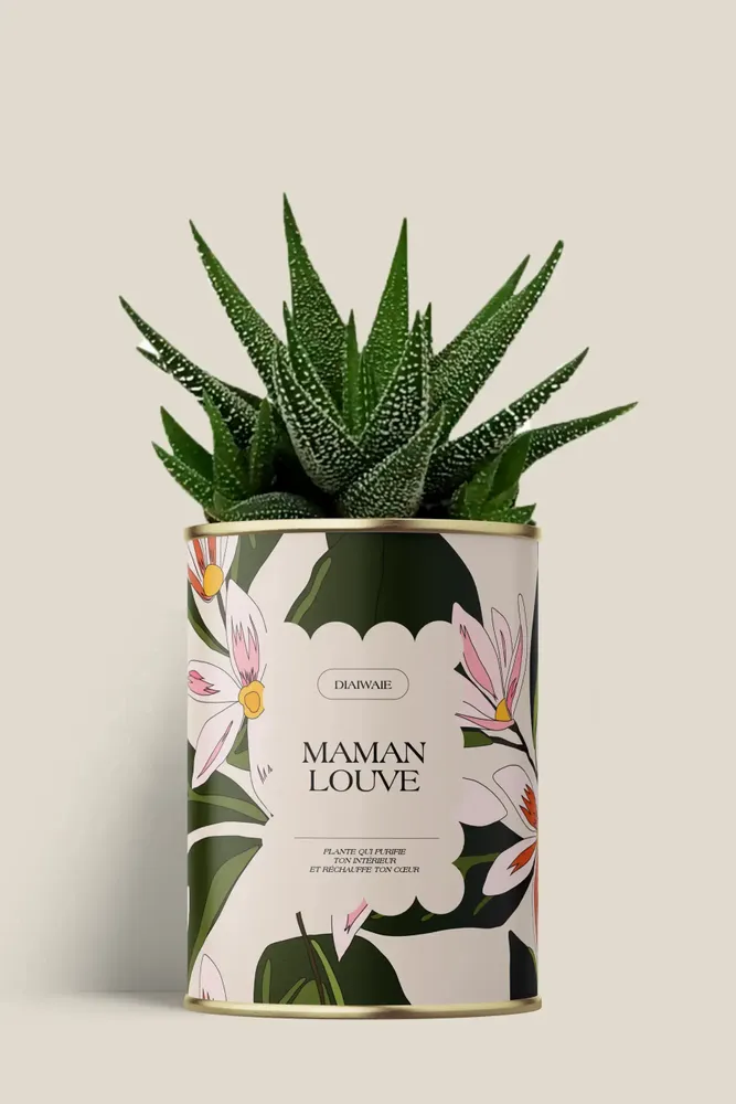 Gifts - Maman Louve - Mini Aloé - DIAIWAIE