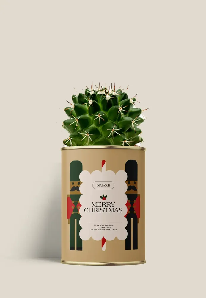 Gifts - Merry Chrismas - Mini Cactus - DIAIWAIE