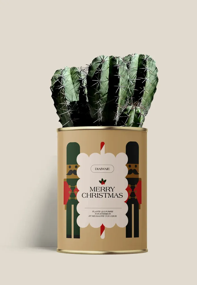Gifts - Merry Chrismas - Maxi Cactus - DIAIWAIE