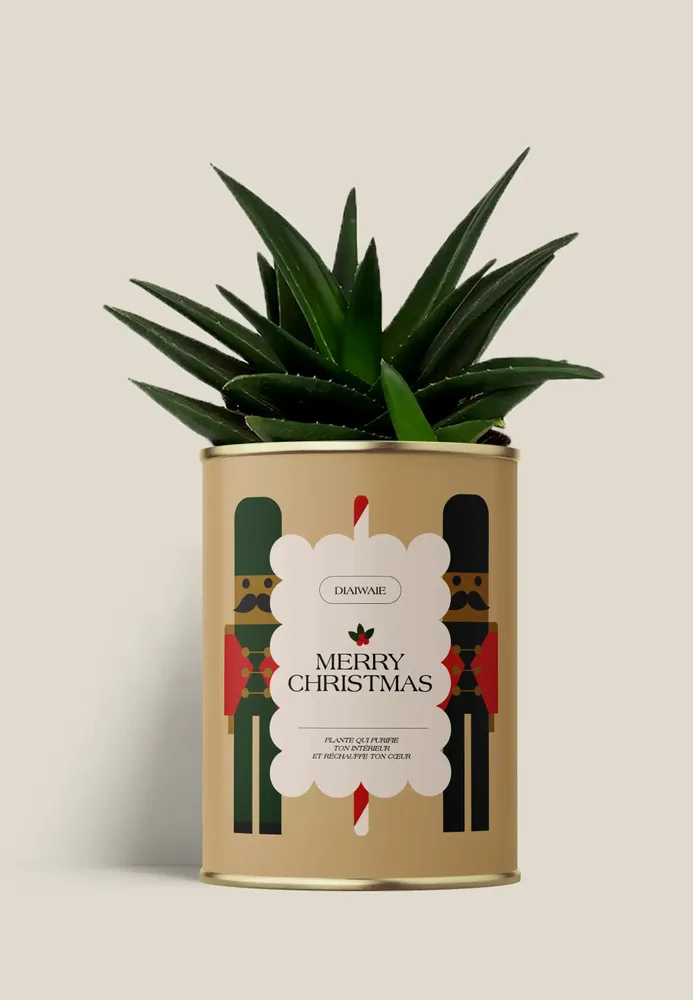 Gifts - Merry Chrismas - Maxi Aloé - DIAIWAIE