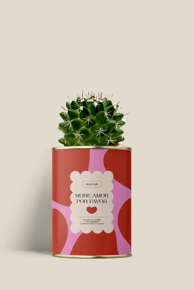 Gifts - More amor por favor - Mini Cactus - DIAIWAIE