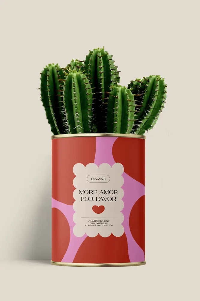 Gifts - More amor por favor - Maxi Cactus - DIAIWAIE