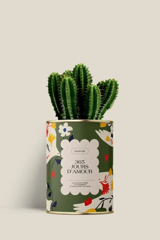Cadeaux - 365 jours d'amour - Mini Cactus - DIAIWAIE