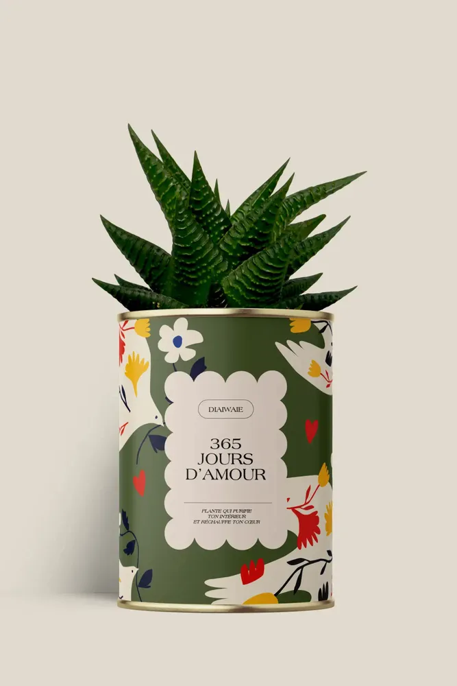 Gifts - 365 jours d'amour - Maxi Aloé - DIAIWAIE
