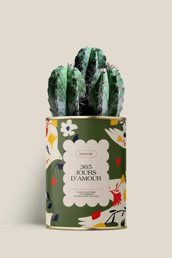 Cadeaux - 365 jours d'amour - Maxi Cactus - DIAIWAIE