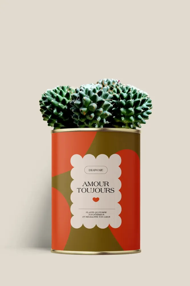 Gifts - Amour toujours - Maxi Cactus - DIAIWAIE
