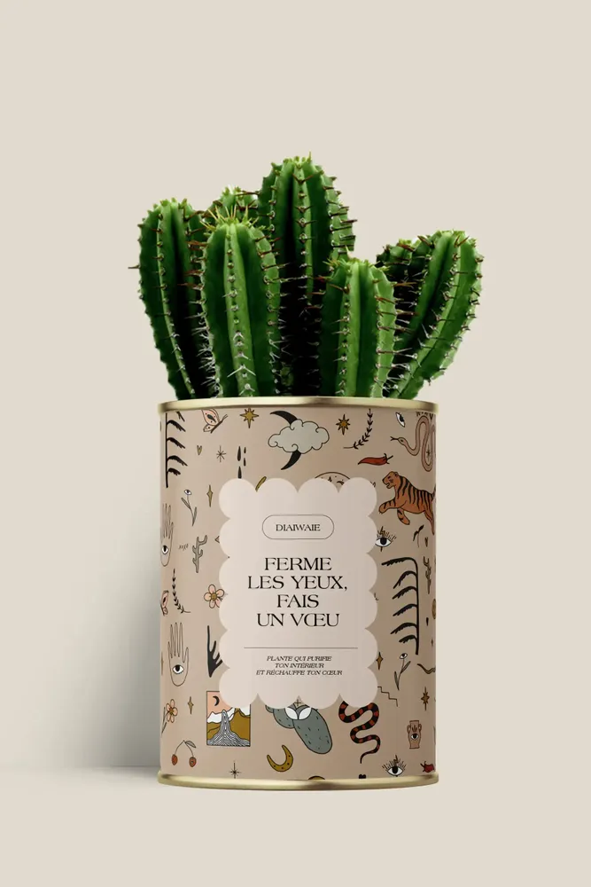Cadeaux - Ferme les yeux, fais un vœu - Maxi Cactus - DIAIWAIE