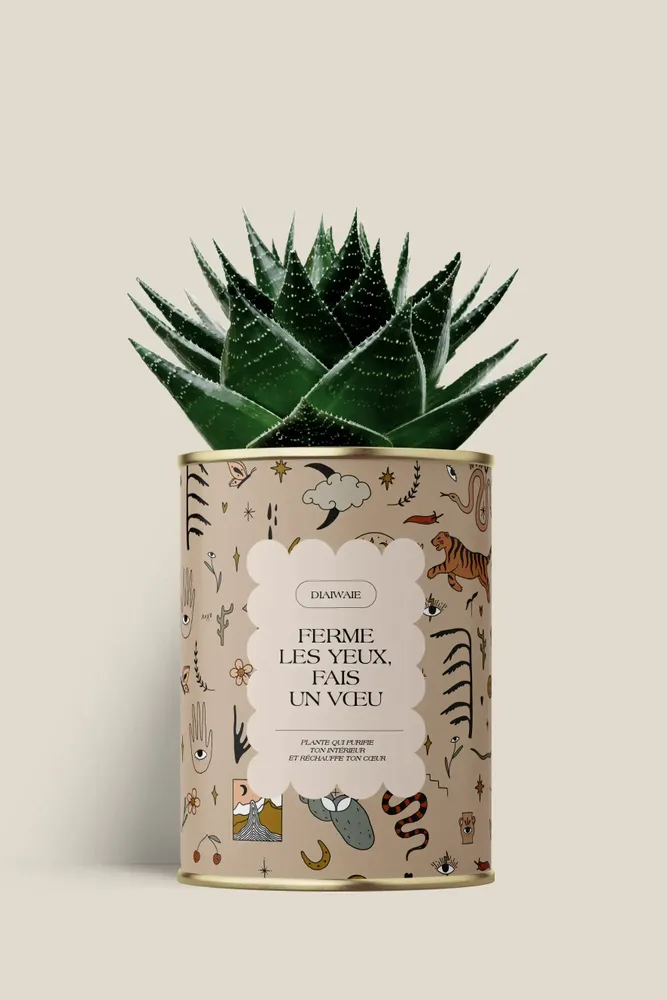 Cadeaux - Ferme les yeux, fais un vœu - Maxi Aloé - DIAIWAIE