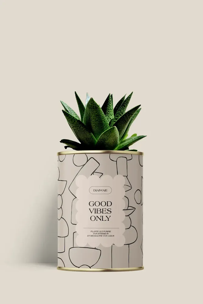 Gifts - Good vibes only - Mini Aloé - DIAIWAIE