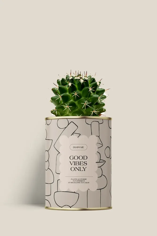 Cadeaux - Good vibes only - Mini Cactus - DIAIWAIE