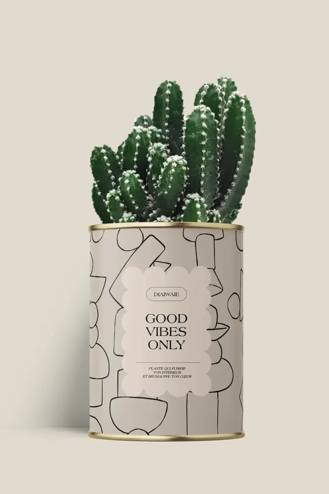 Gifts - Good vibes only - Maxi Cactus - DIAIWAIE