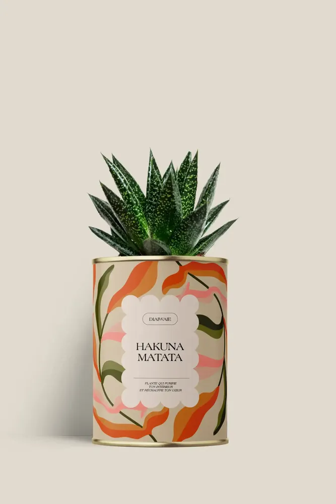Cadeaux - Hakuna matata - Mini Aloé - DIAIWAIE