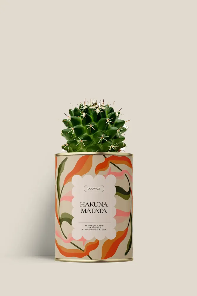 Cadeaux - Hakuna matata - Mini Cactus - DIAIWAIE