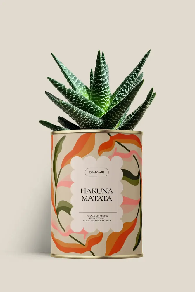 Cadeaux - Hakuna matata - Maxi Aloé - DIAIWAIE