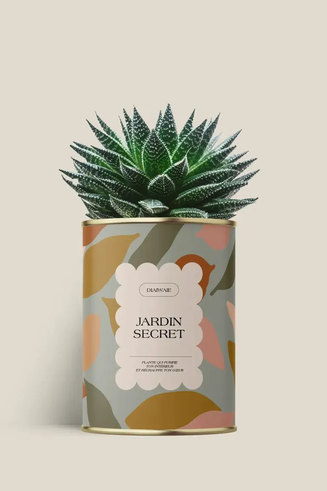 Cadeaux - Jardin secret - Maxi Aloé - DIAIWAIE