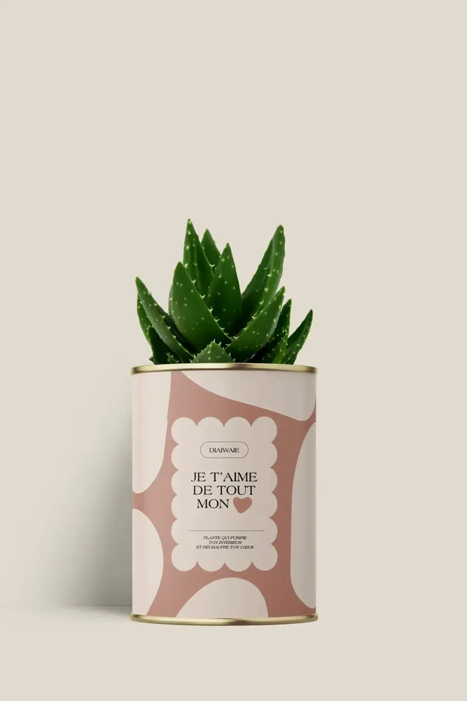 Cadeaux - Je t'aime de tout mon coeur - Mini Aloé - DIAIWAIE