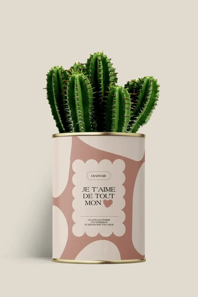 Gifts - Je t'aime de tout mon coeur - Maxi Cactus - DIAIWAIE