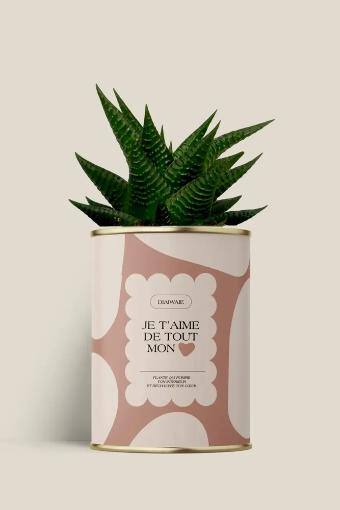 Cadeaux - Je t'aime de tout mon coeur - Maxi Aloé - DIAIWAIE