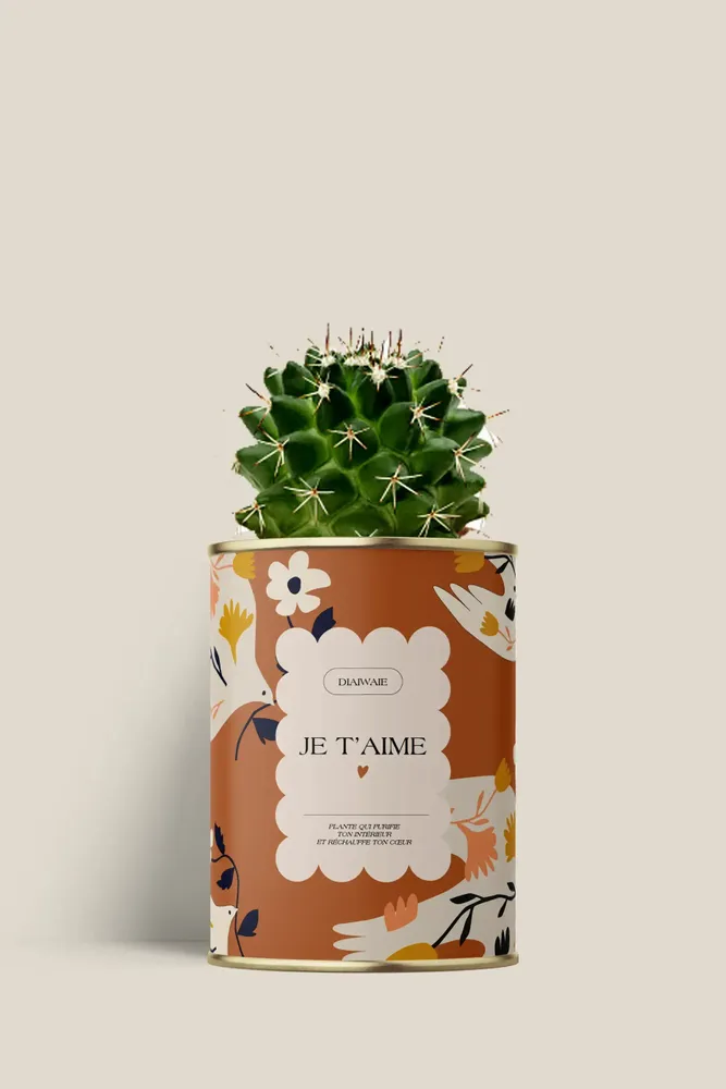 Cadeaux - Je t'aime - Mini Cactus - DIAIWAIE