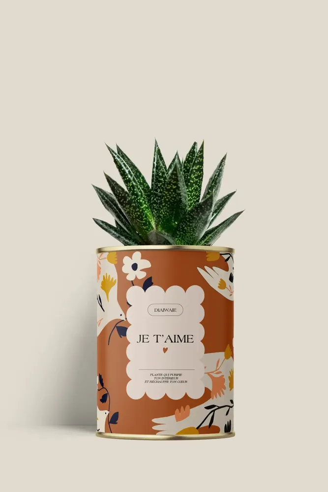 Cadeaux - Je t'aime - Mini Aloé - DIAIWAIE