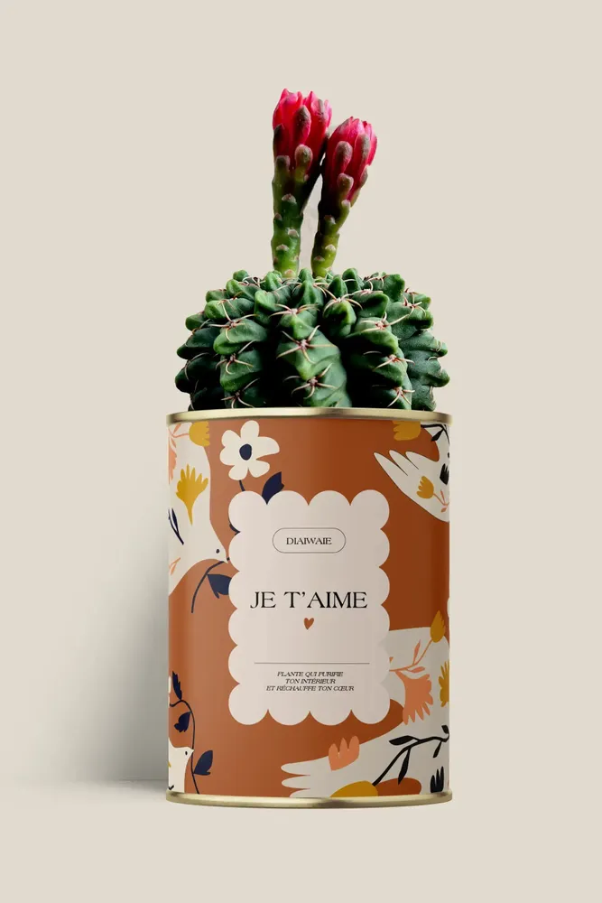Cadeaux - Je t'aime - Maxi Cactus - DIAIWAIE