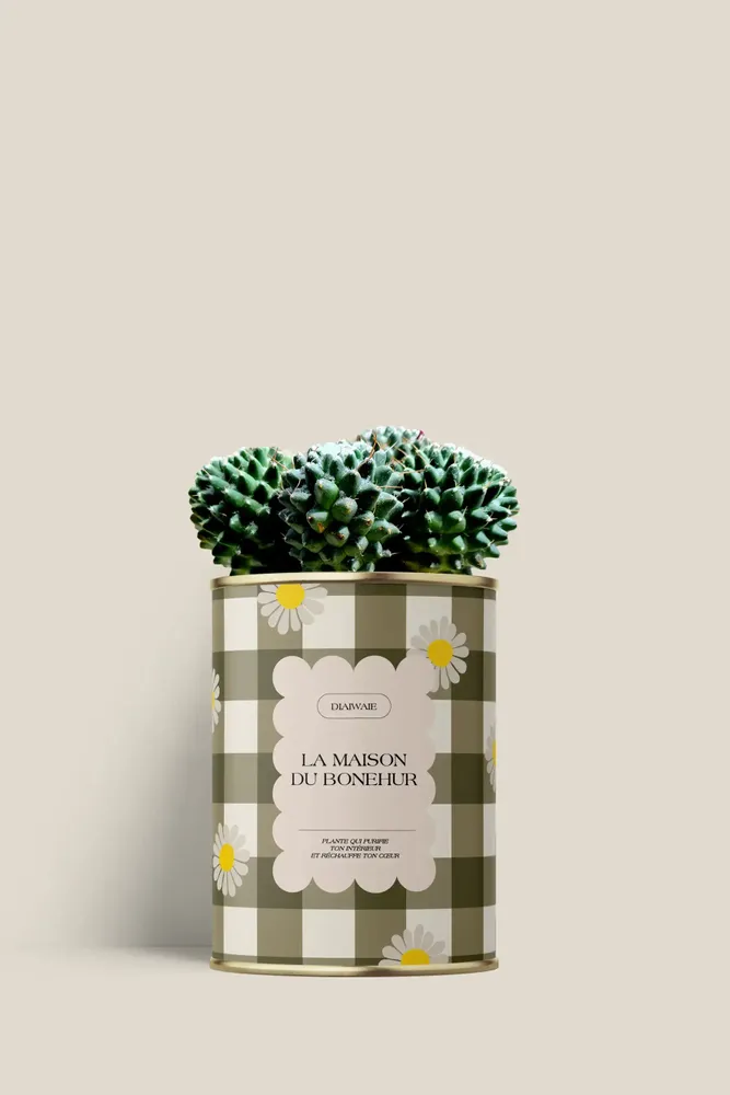 Cadeaux - La maison du bohneur - Mini Cactus - DIAIWAIE
