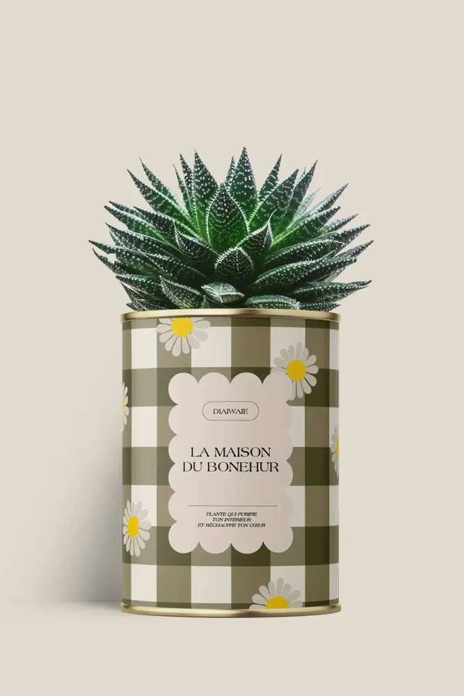 Gifts - La maison du bohneur - Maxi Aloé - DIAIWAIE