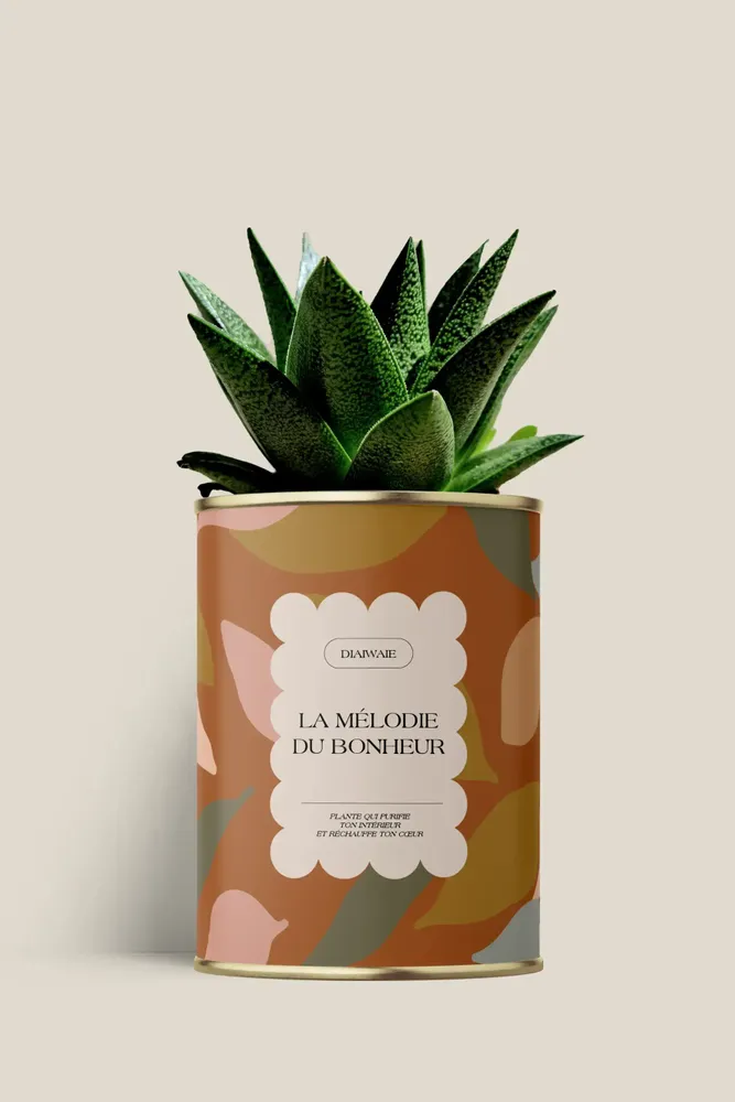 Gifts - La mélodie du bohneur - Maxi Aloé - DIAIWAIE