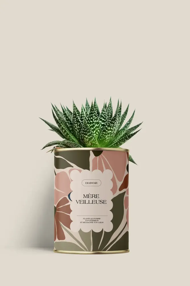 Cadeaux - Mère veilleuse - Mini Aloé - DIAIWAIE