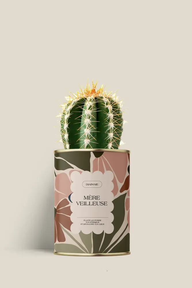 Gifts - Mère veilleuse - Mini Cactus - DIAIWAIE