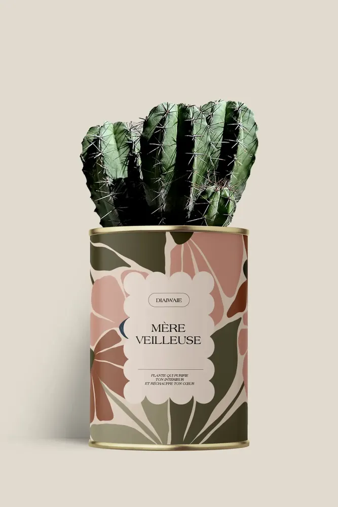 Gifts - Mère veilleuse - Maxi Cactus - DIAIWAIE