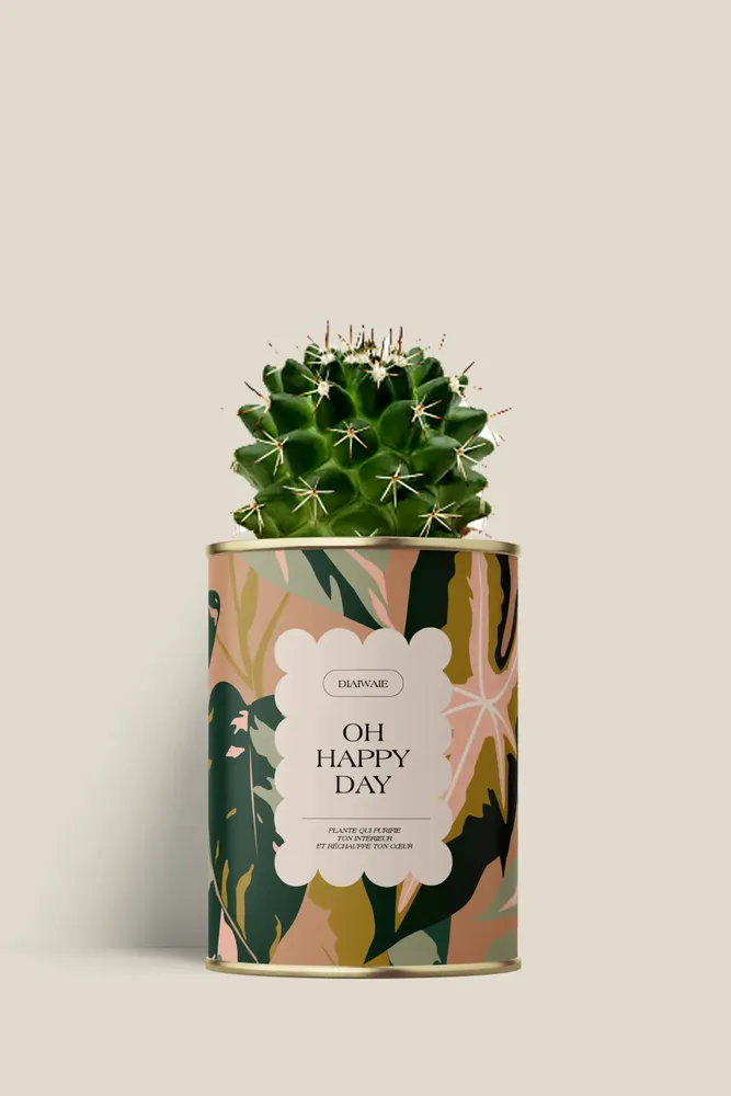 Cadeaux - Oh happy day - Mini Cactus - DIAIWAIE