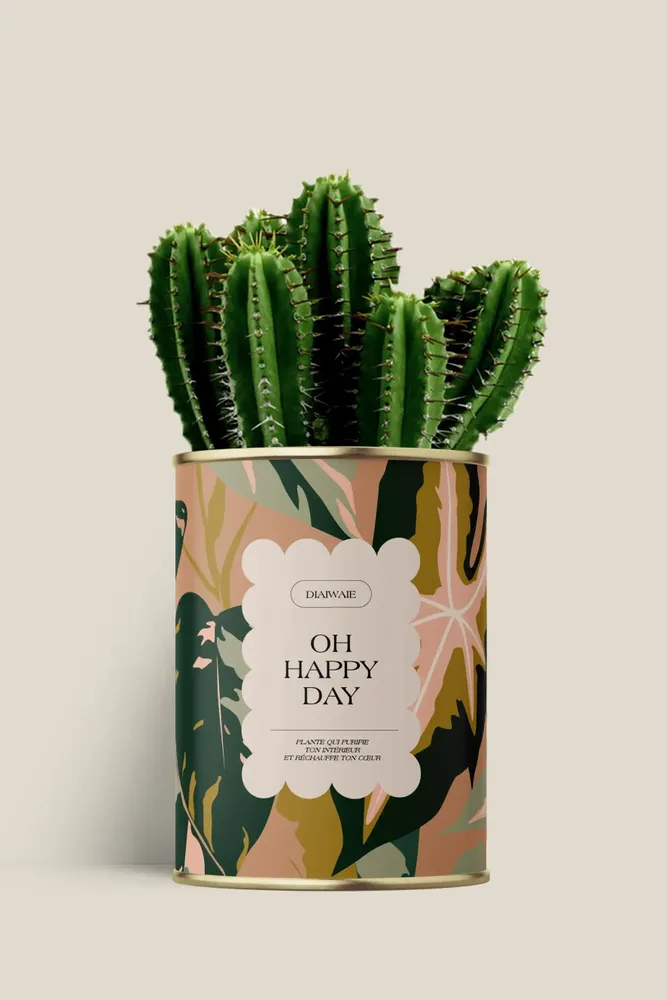 Gifts - Oh happy day - Maxi Cactus - DIAIWAIE