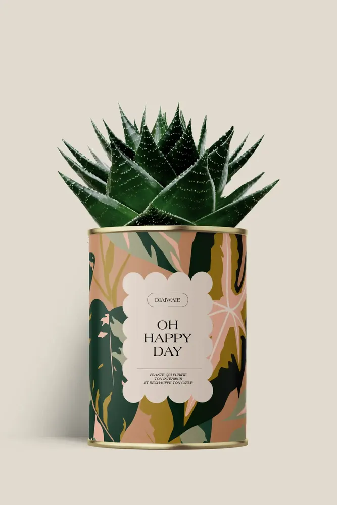 Gifts - Oh happy day - Maxi Aloé - DIAIWAIE