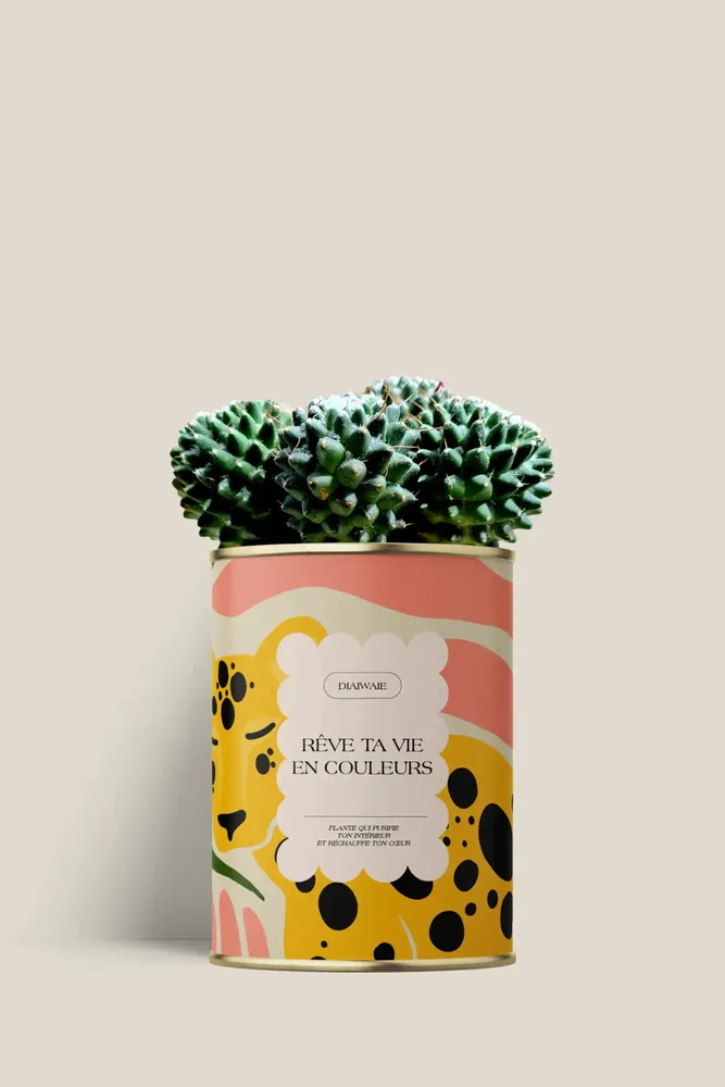 Cadeaux - Rêve ta vie en couleurs - Mini Cactus - DIAIWAIE