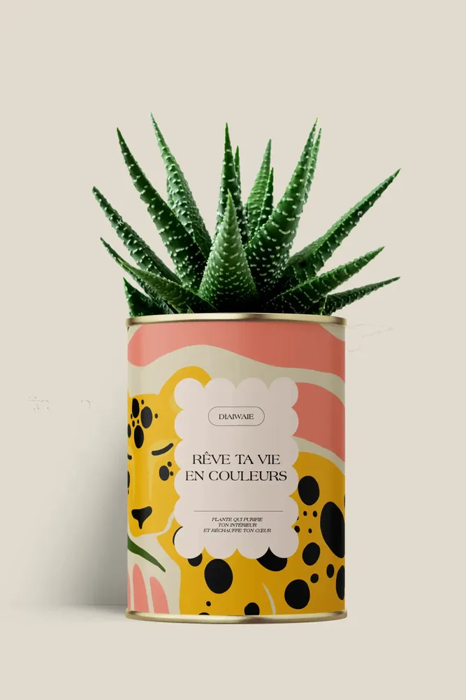 Cadeaux - Rêve ta vie en couleurs - Maxi Aloé - DIAIWAIE