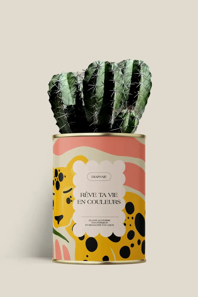Cadeaux - Rêve ta vie en couleurs - Maxi Cactus - DIAIWAIE
