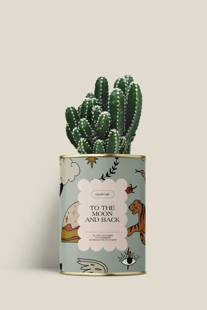 Cadeaux - To the moon and back - Mini Cactus - DIAIWAIE