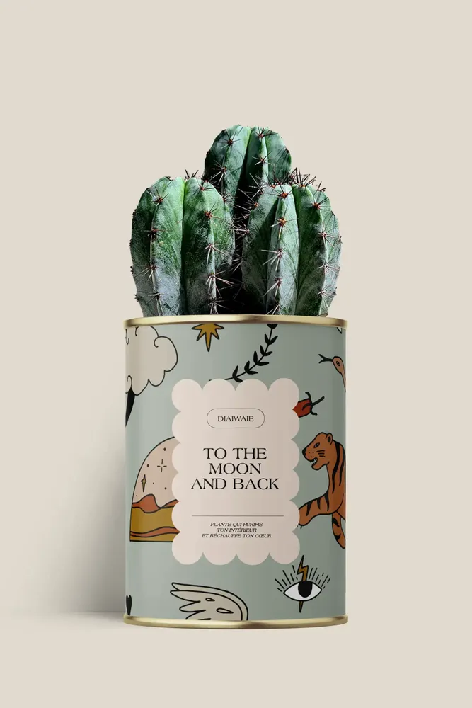 Cadeaux - To the moon and back - Maxi Cactus - DIAIWAIE